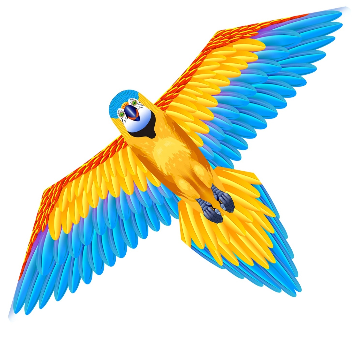 Hot Sale New Design Single Line Big Bird Parrot Flying Kite for Kids and Adults from Weifang Kite Factory