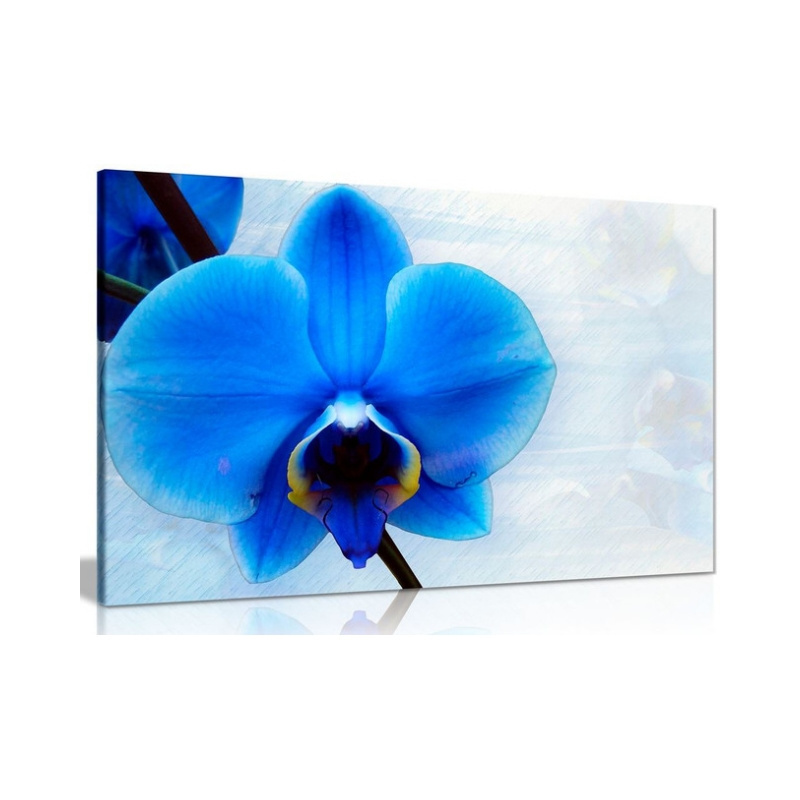 Blue Orchid Flower Canvas painting Wall Art decor Picture Print Home Decor  and other painting