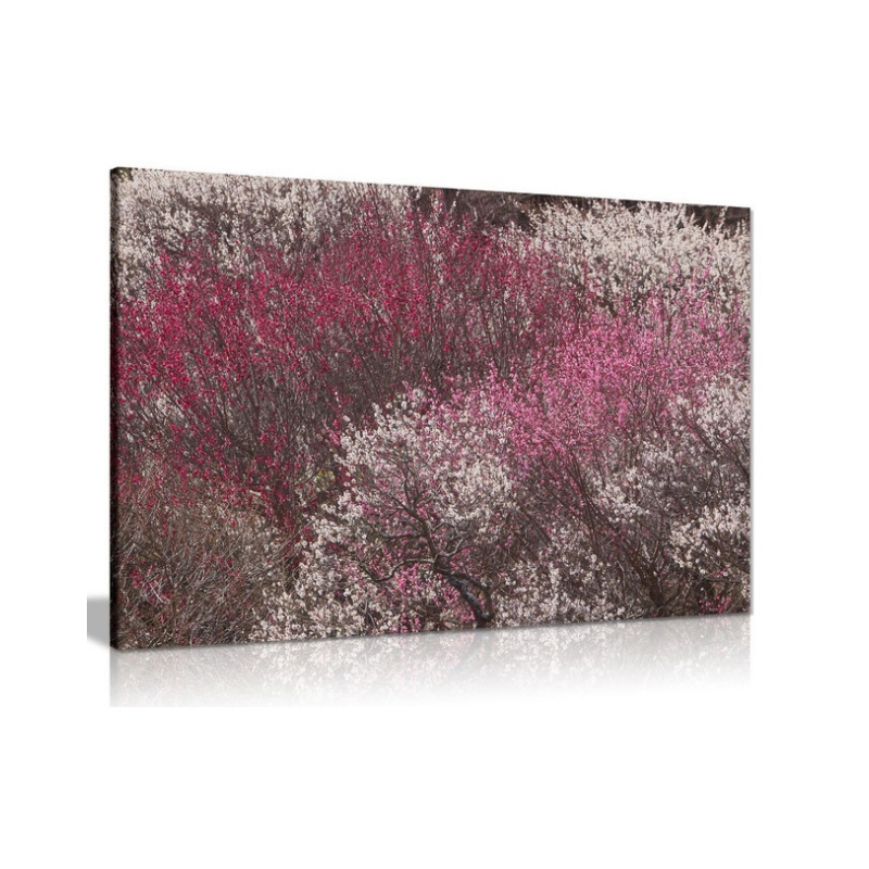 Cherry Tree Blossom Canvas Wall Art Picture Print Home Decor with inner frame landscape painting art poster