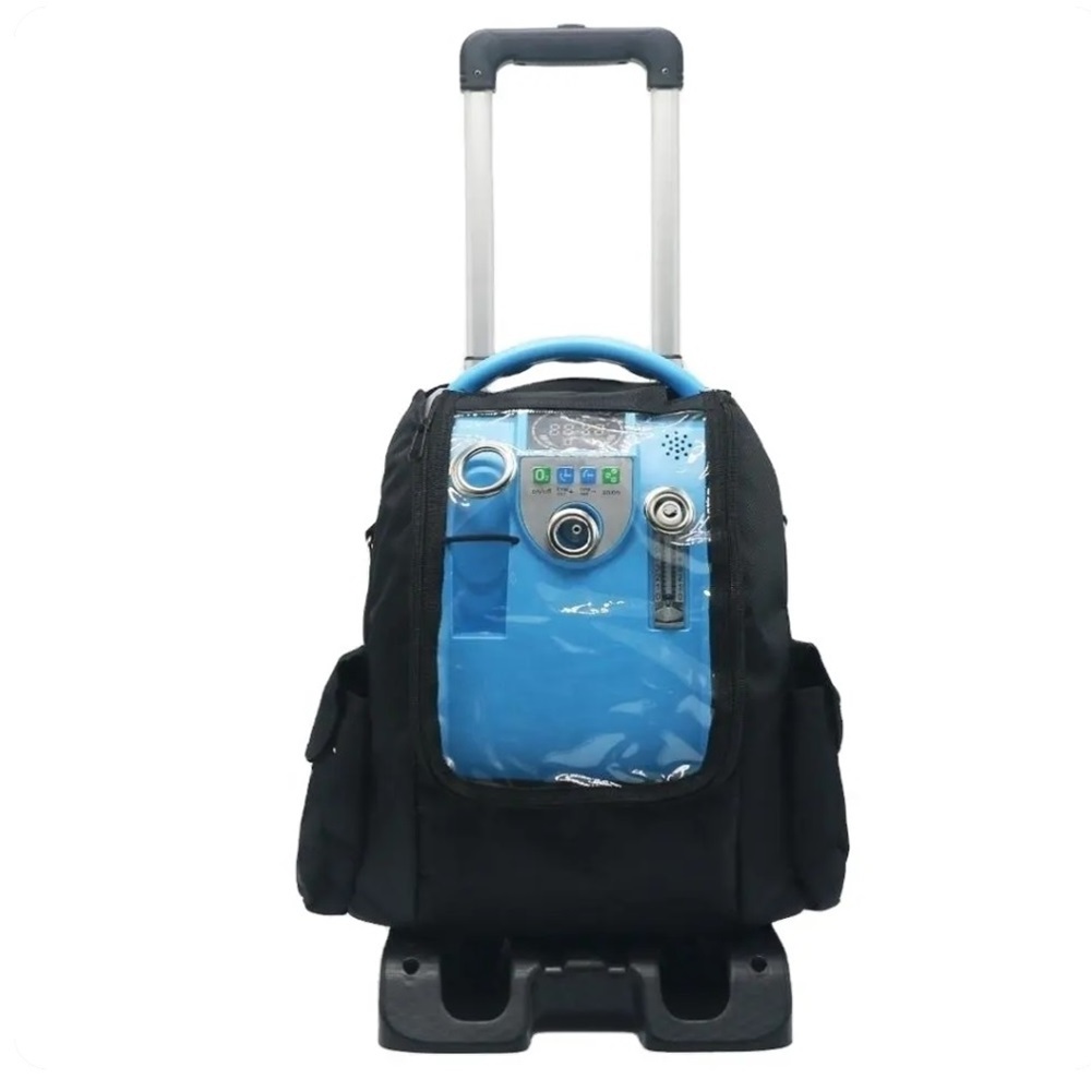 Cheap Price 1-5L Small Mini Portable Oxygen-Concentrator Oxygen generator concentrator with battery for cars and travel use