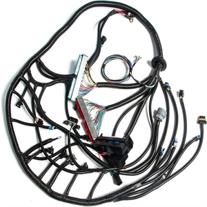 Universal Customized High-Quality Dual Wire Harness Automotive Wiring Harness Automotive Cable Engine Wiring Harness