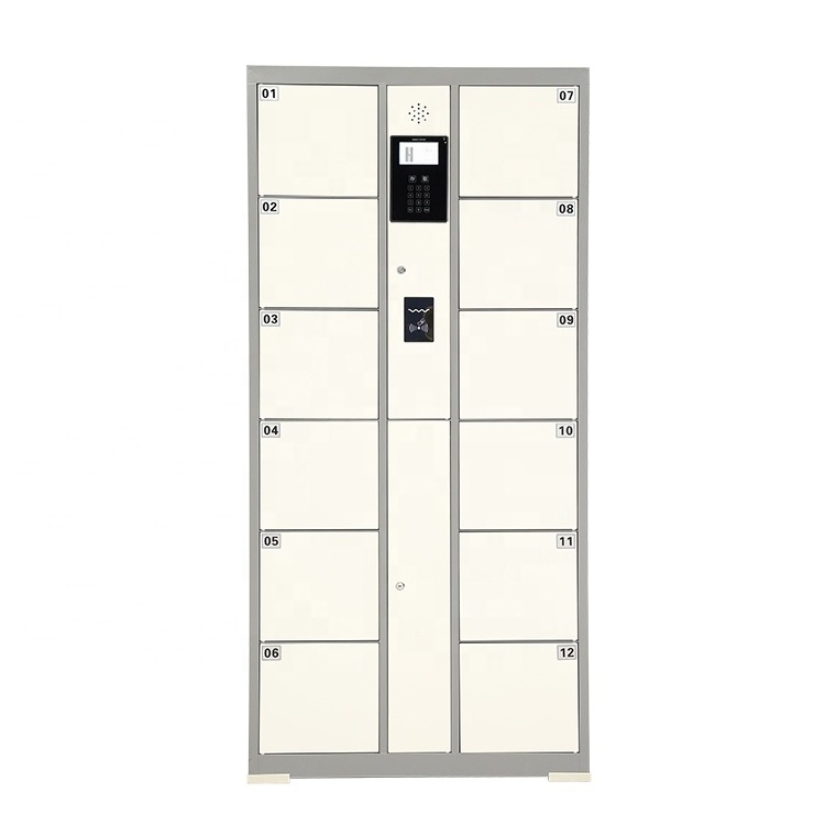 Outdoor Supermarket Smart Locker Parcel Express Delivery Intelligent Electronic Locker Cabinet