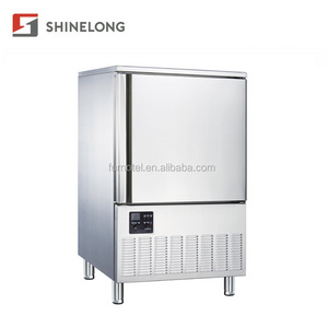 Good Price Commercial Restaurant Stainless Steel Upright Deep Blast Freezer 220L