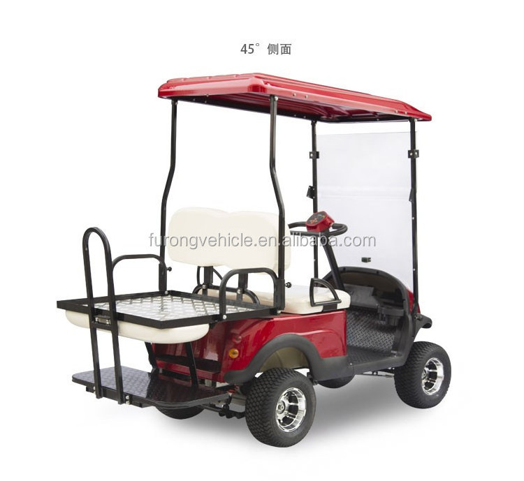 Hot Sale 2 Person Electric Mini Golf Carts