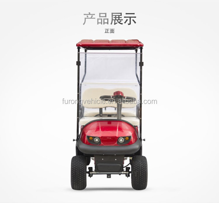 Hot Sale 2 Person Electric Mini Golf Carts