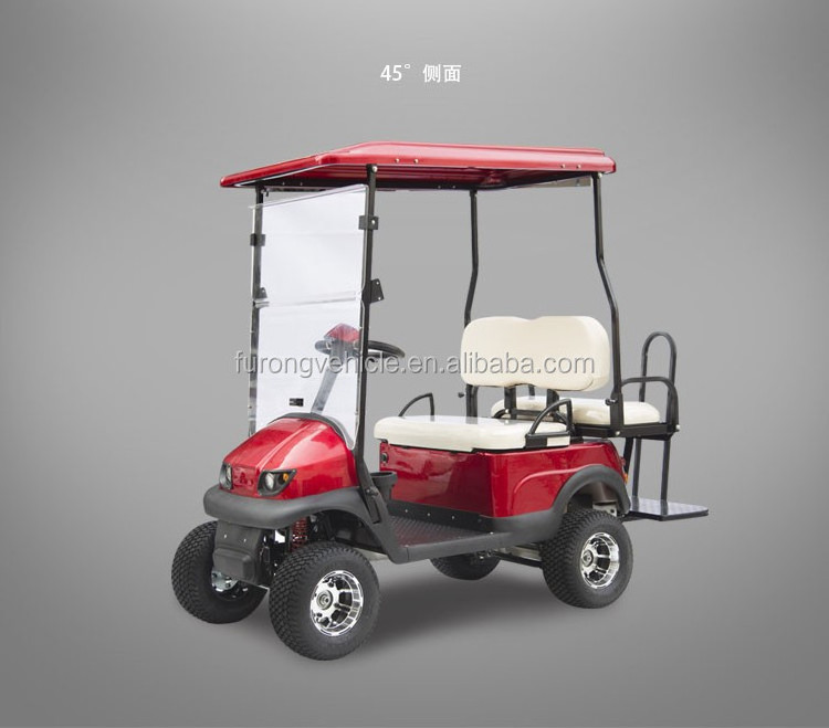 Hot Sale 2 Person Electric Mini Golf Carts