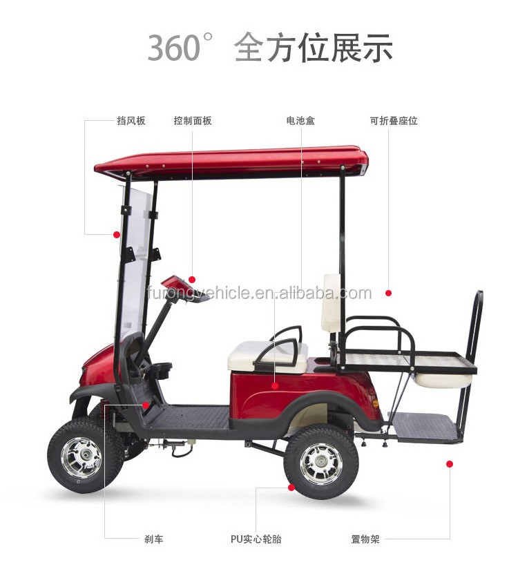 Hot Sale 2 Person Electric Mini Golf Carts