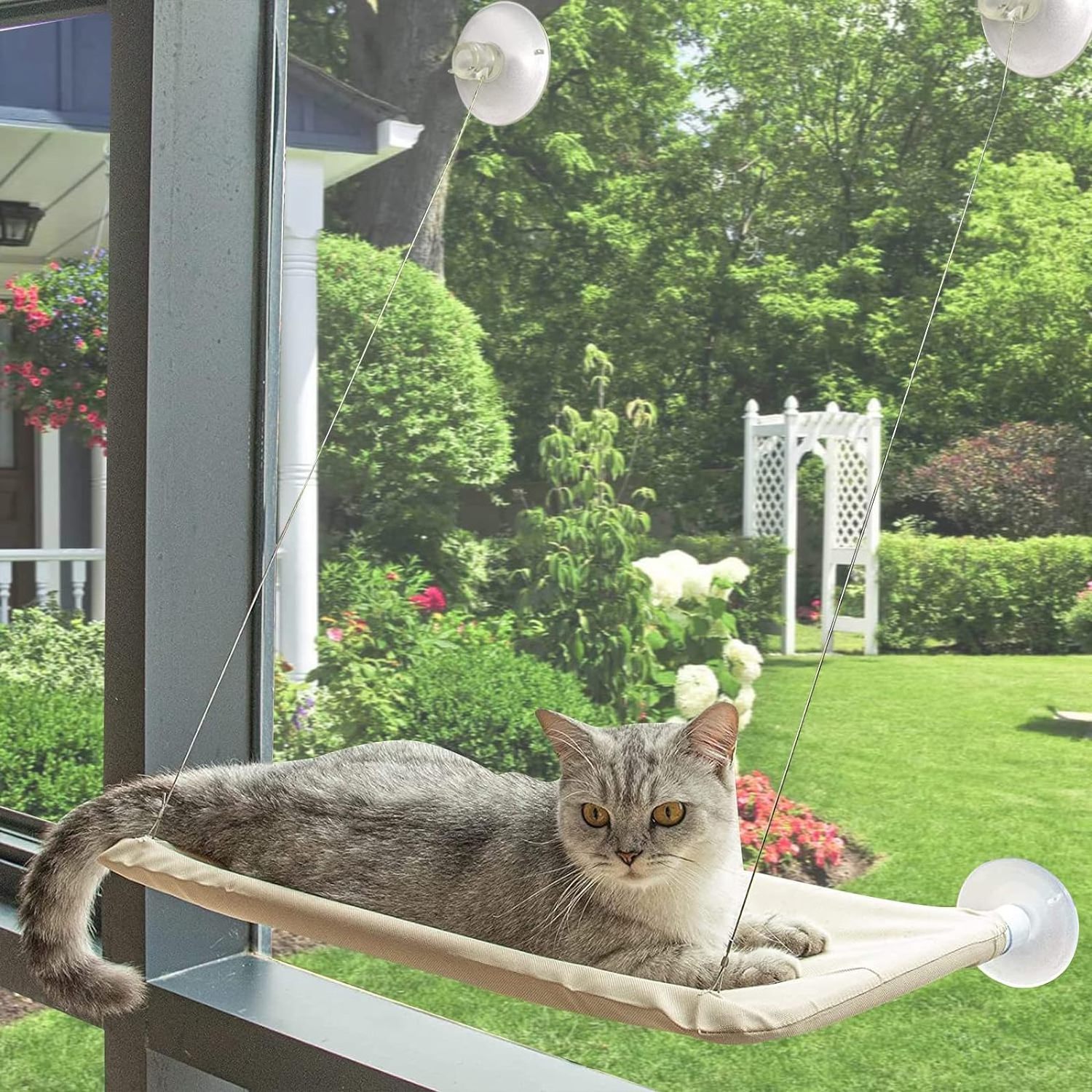 Cat Window Perch Hammocks for Window Seat Suction Cups Space Saving Cat Bed Cat Hammock Window Seat