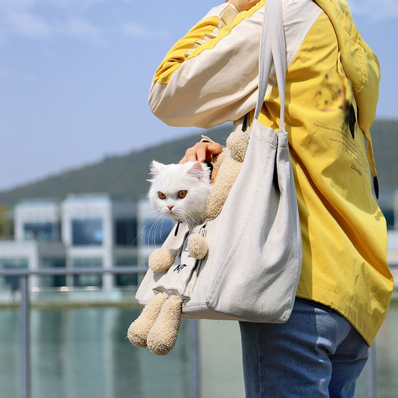 Factory Direct Small Lion Style Outcrop Shoulder Bag Cute Pet Carrier Travel Tote Bag For Cats Puppy Small Animals Pet Bag