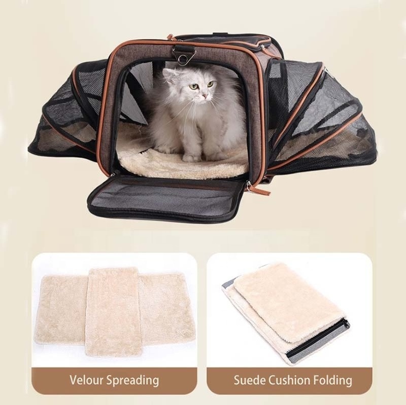 Wheeled Pet Carrier Backpack Pet Rolling Carrier Backpack for Small Dogs Medium Cats-Pet Carrier Backpack with Removable Wheels