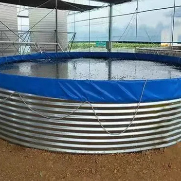 Fish Tank  Factory customized Fish and, shrimp and a crab RAS Tilapia farming fisheries aquaculture system equipment farming tan