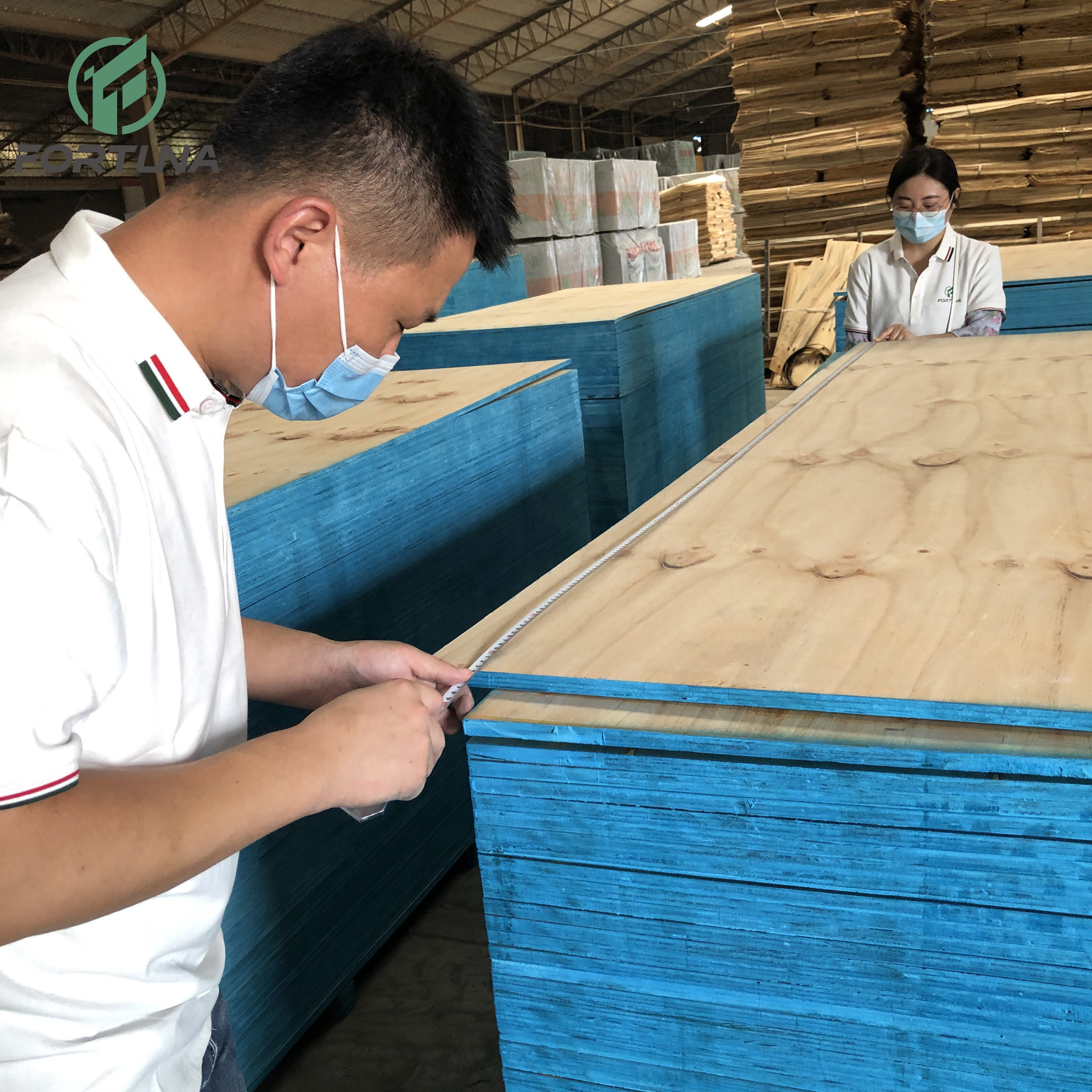 C+/c Waterproof CDX Pine Structural Laminated Plywood