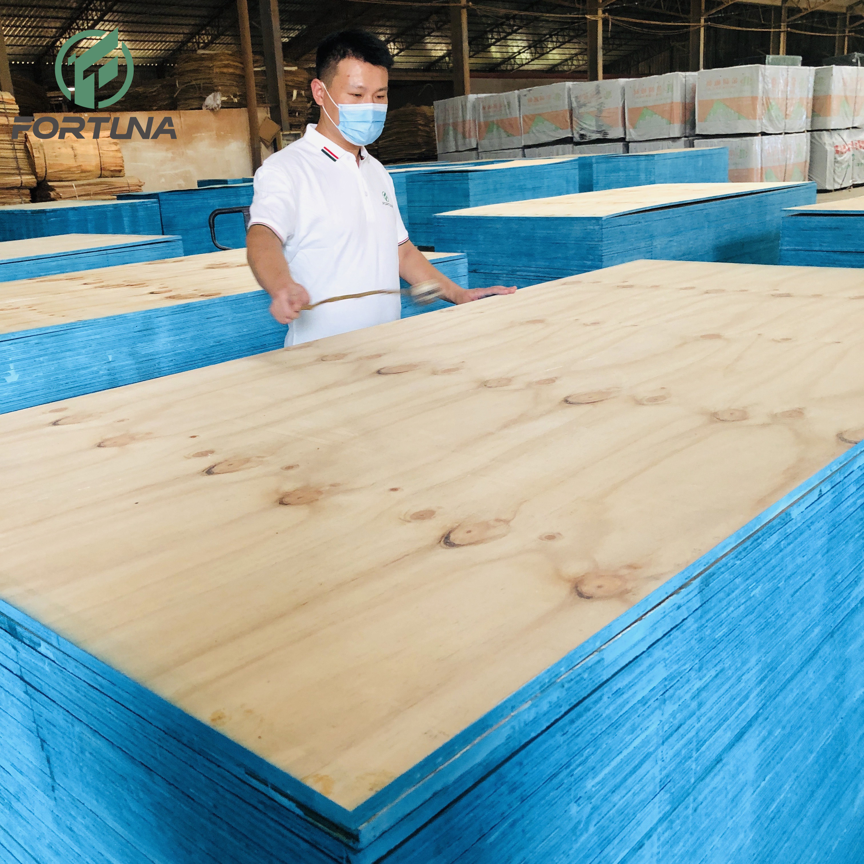 C+/c Waterproof CDX Pine Structural Laminated Plywood