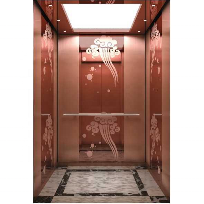 Luxury Decoration Cabin Office Customized Lift Passenger Elevator for 10 persons