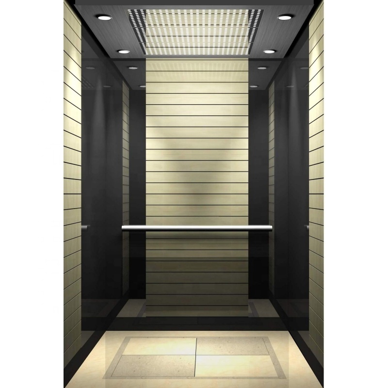 Luxury Decoration Cabin Office Customized Lift Passenger Elevator for 10 persons