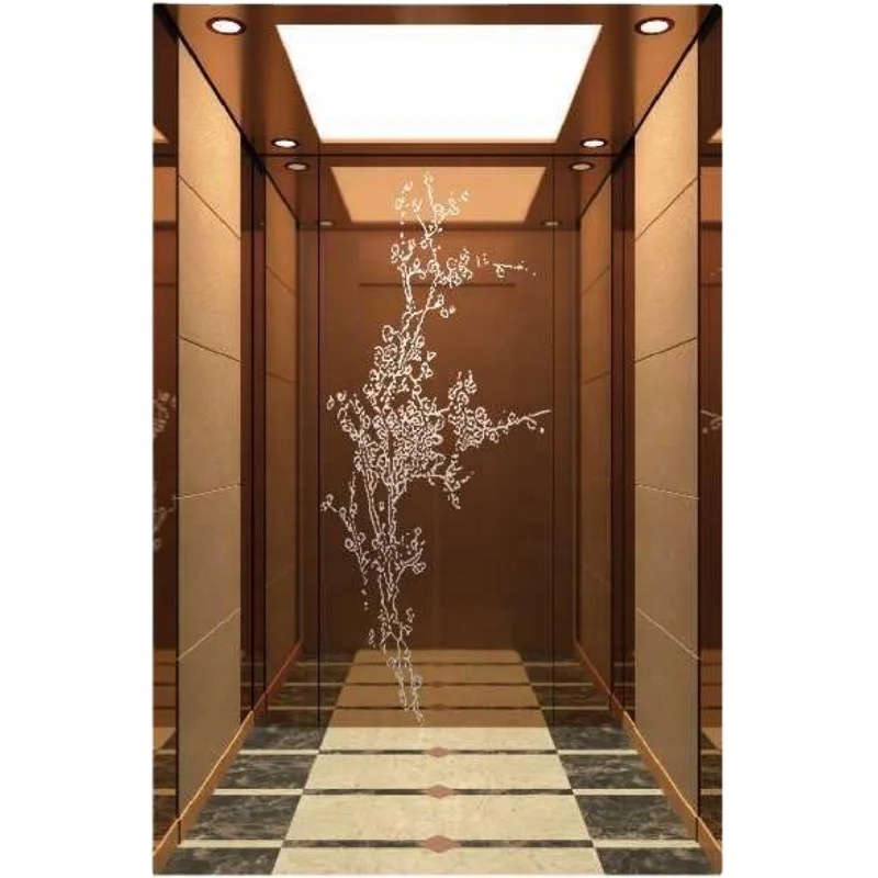 Luxury Decoration Cabin Office Customized Lift Passenger Elevator for 10 persons