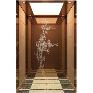 Luxury Decoration Cabin Office Customized Lift Passenger Elevator for 10 persons