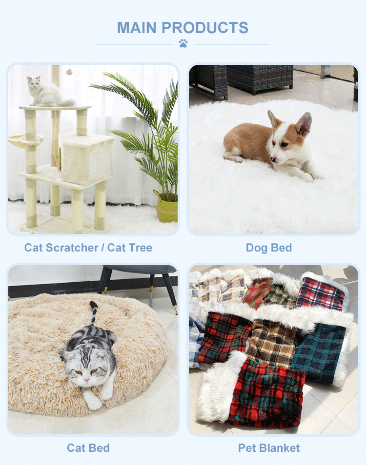 Dog Bed Indoor Outdoor Cooling Elevated Pet Air Cot With Removable Dog Cot