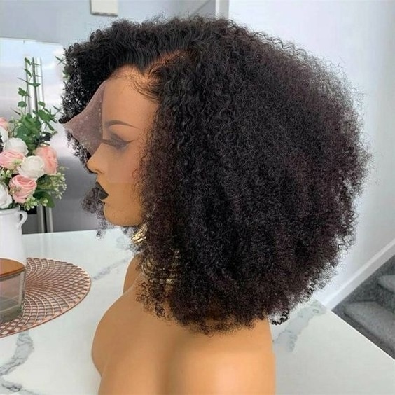 Afro Kinky Hair Wigs Human Hair Lace Front Brazilian Virgin Hair Vendor Very Full Mongolian Afro Kinky Curly Wig for Black Women