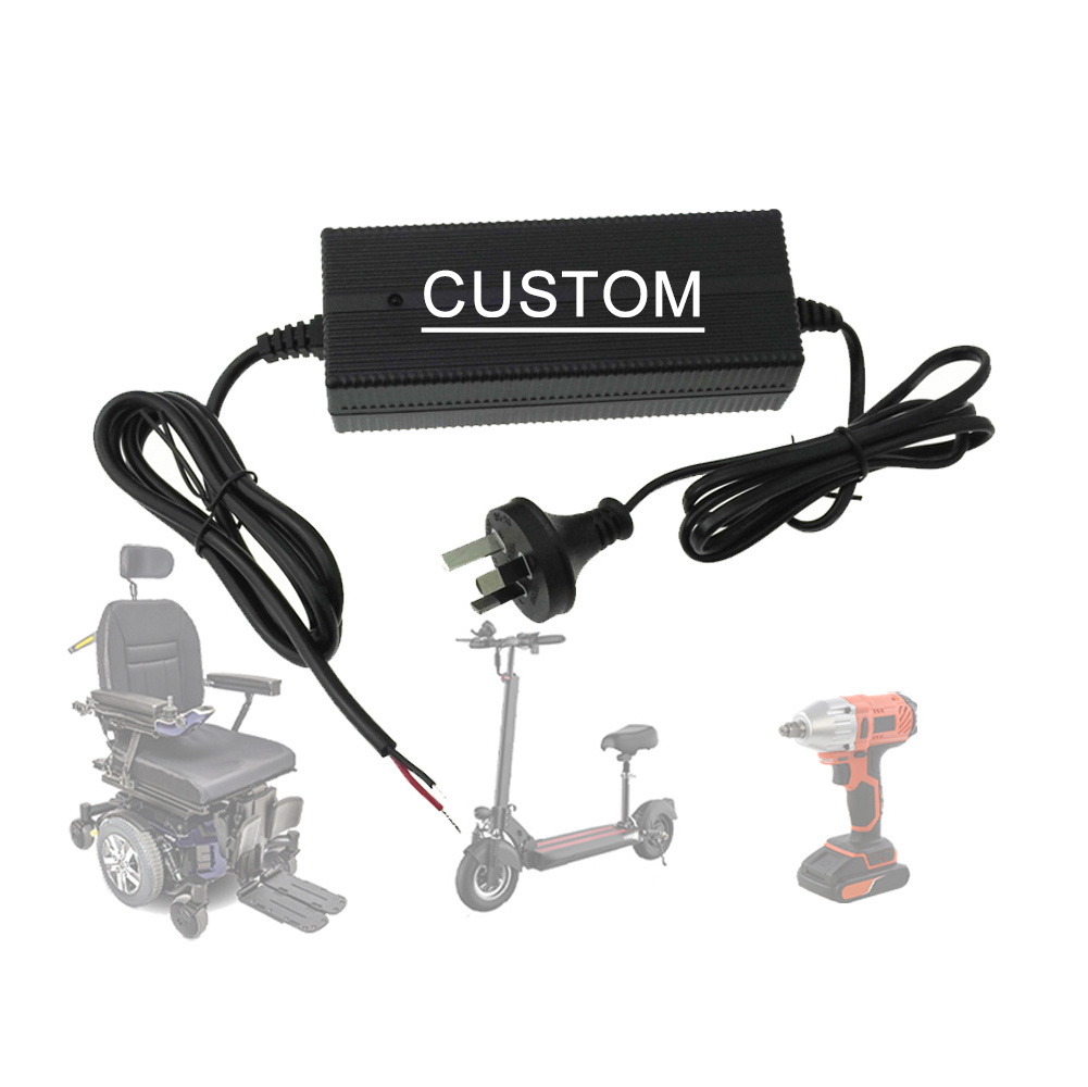 custom electric bike scooter wheelchair 12/24 volt 20//30/40amps battery charger