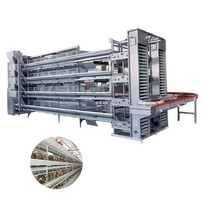 Automatic poultry production line cages for layer chickens for 10000 birds cheap price