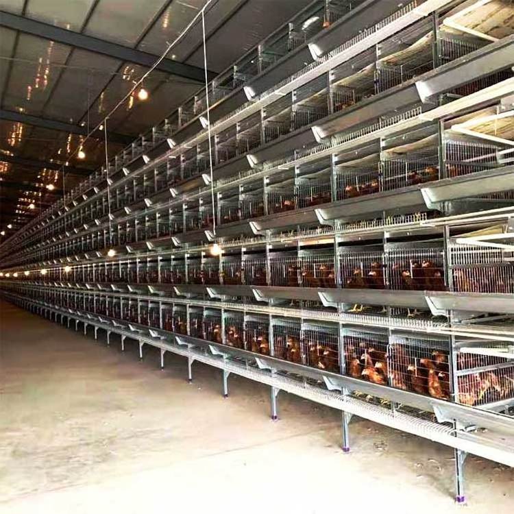 Poultry layer chicken cage for poultry farming china chicken cages fly pen