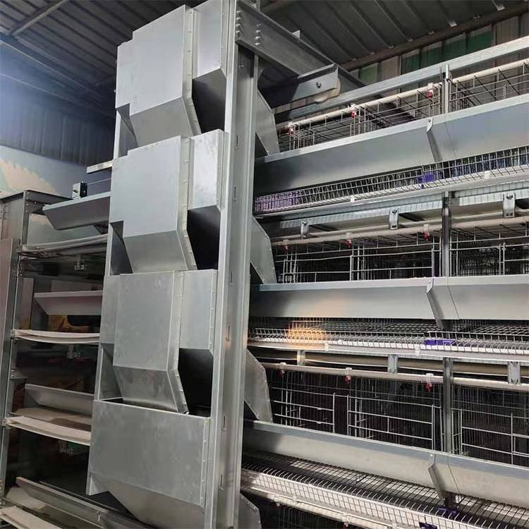 Automatic poultry production line cages for layer chickens for 10000 birds cheap price