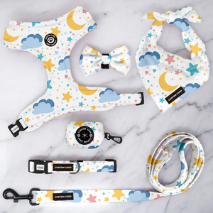 Manufacturers OEM Custom Logo Designer Luxury Neoprene Dog Pet Collars Leashes Harnesses Set Custom Dog Pet Harnesses