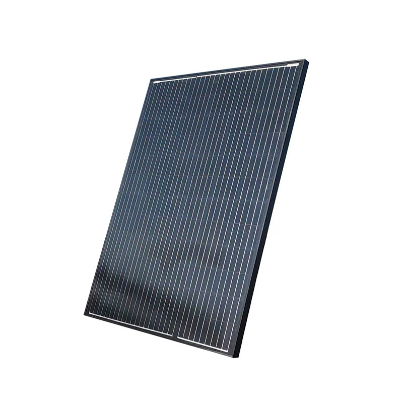 Dongsun solar panel 50w 100w 150w 160W mono all black solar panels