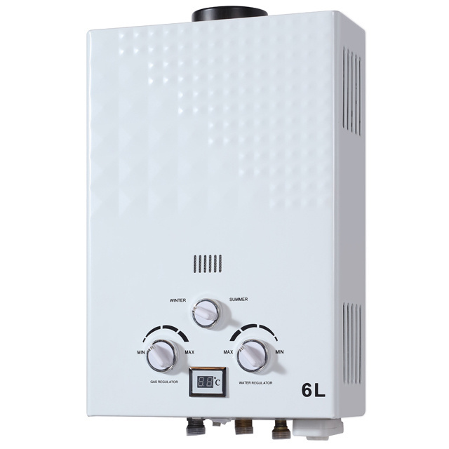 New arrival popular 6L 8L 10L 12L 16L kitchen pulse ignition geyser gas water heater wall mounted heating boiler 24 kw