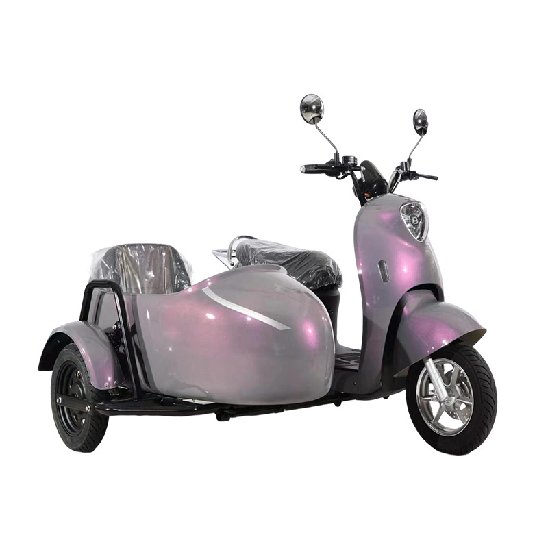 1000W 60V/72V electric scooters with side car for adults dog person SideCar