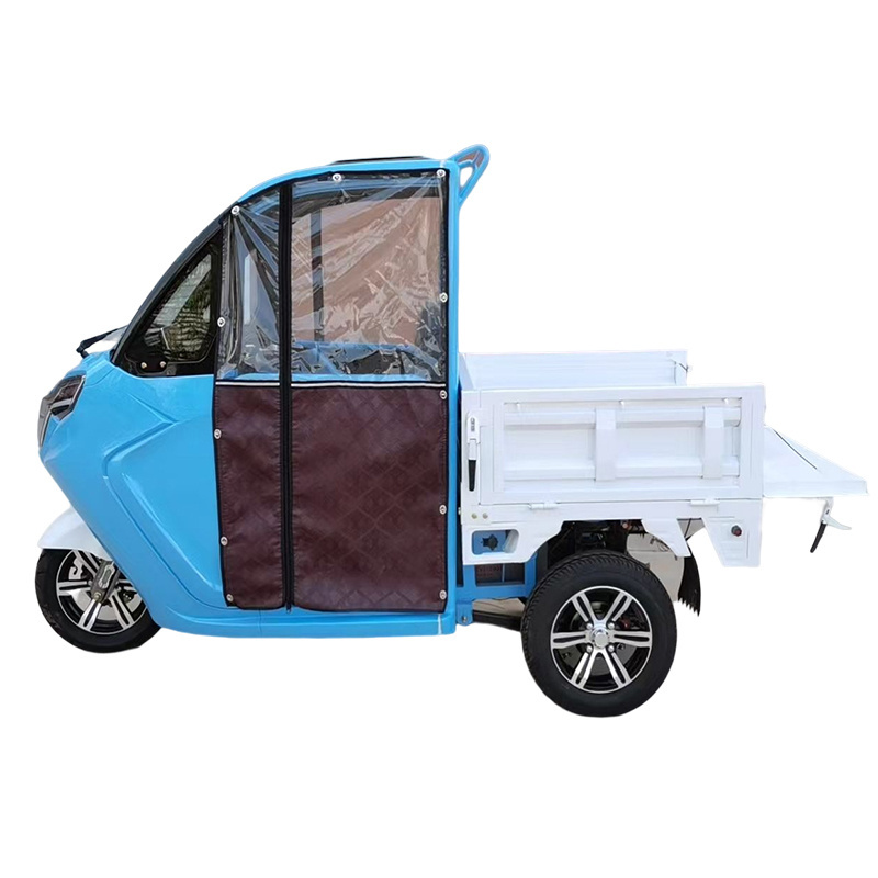 Hot sale 3 wheel mini electric van adult electric cargo tricycle With a large container