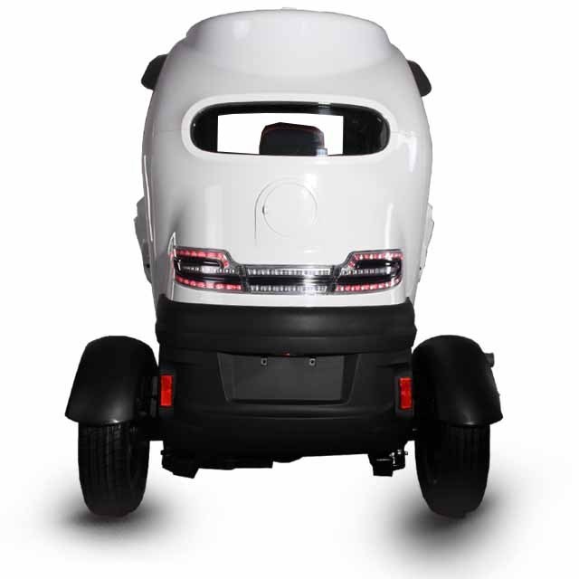 Enclosed Cabin Scooter 3 Wheel Car for Passenger