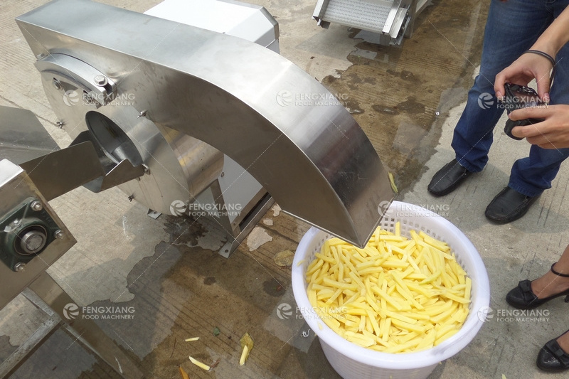 FC-502 Automatic Electric French Fries Cutter, Potato Taro Radish Papaya Melon Slicing Cutting Machine.