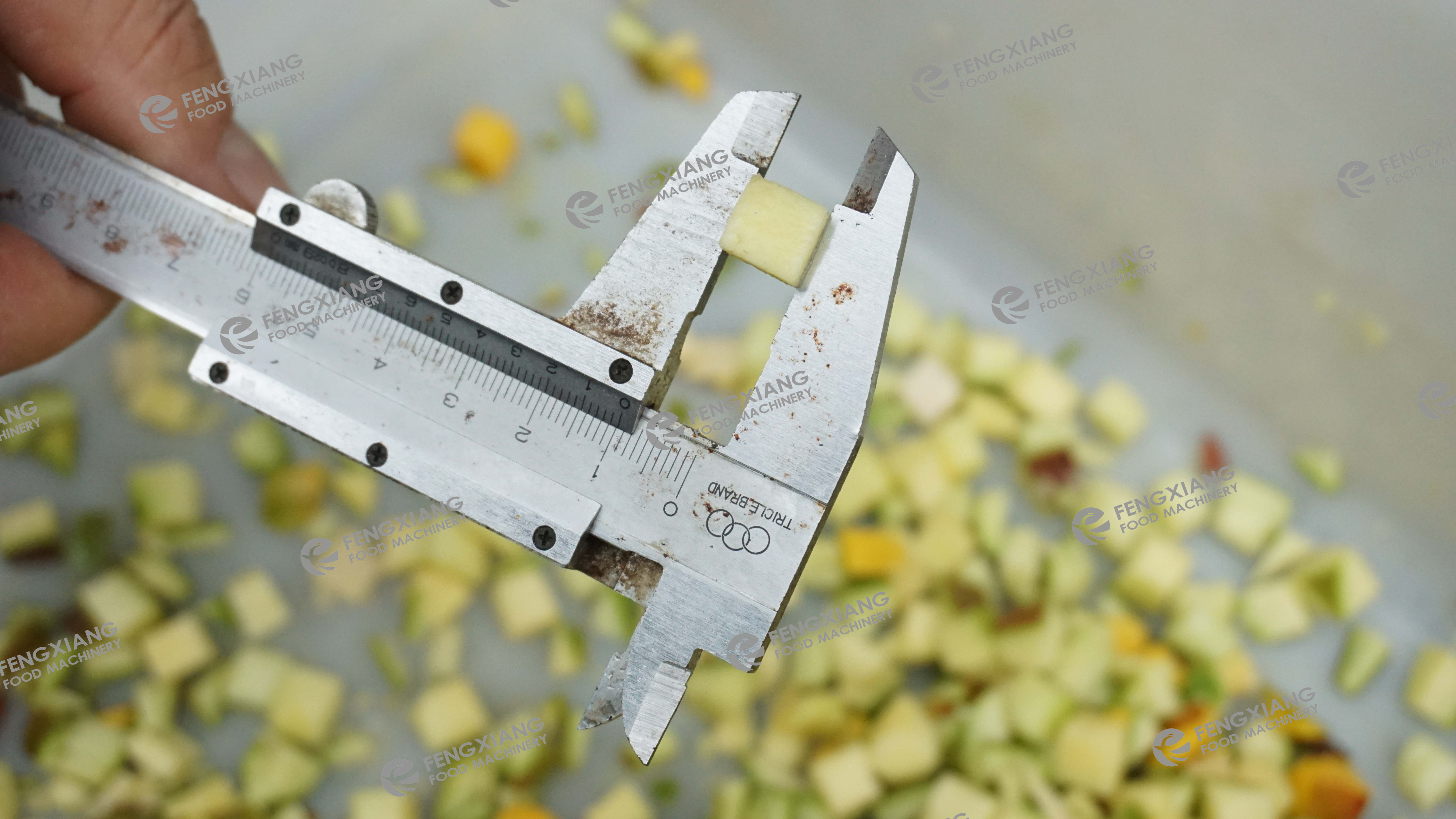 CD-800 vegetables fruit ginger potato carrot dicing slicing cube cutter machine