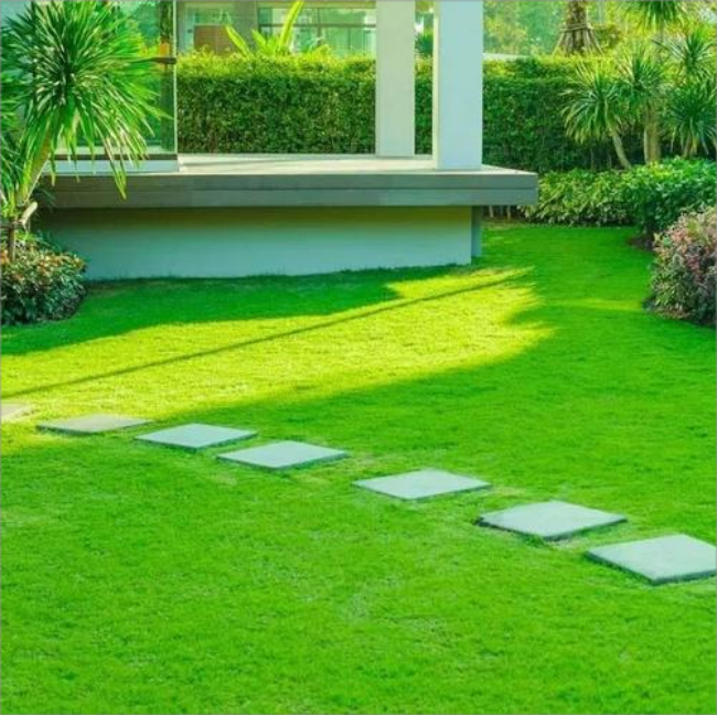 Landscaping outdoor play grass cheap price carpet roll synthetic turf for garden indoor artificial grass