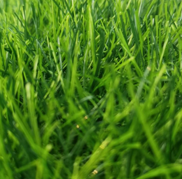 Sustainable artificial Synthetic Turf grass solution providing a lush oasis of greenery with minimal maintenance