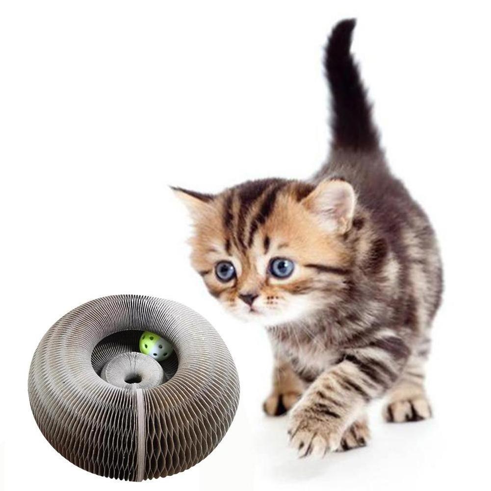 Dropshipping Magic Organ Cat Scratch Board Toy with Bell Cat Grinding Claw Scratching Toy Cat Scratcher