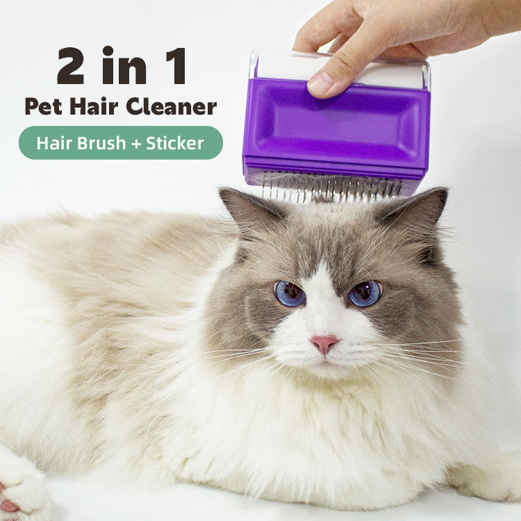 HOT Sale other pet products pet grooming sticker brush 2 in 1 comb removes pet dog cat brush