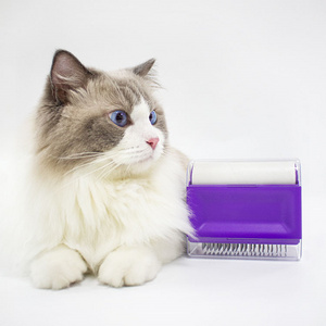 HOT Sale other pet products pet grooming sticker brush 2 in 1 comb removes pet dog cat brush