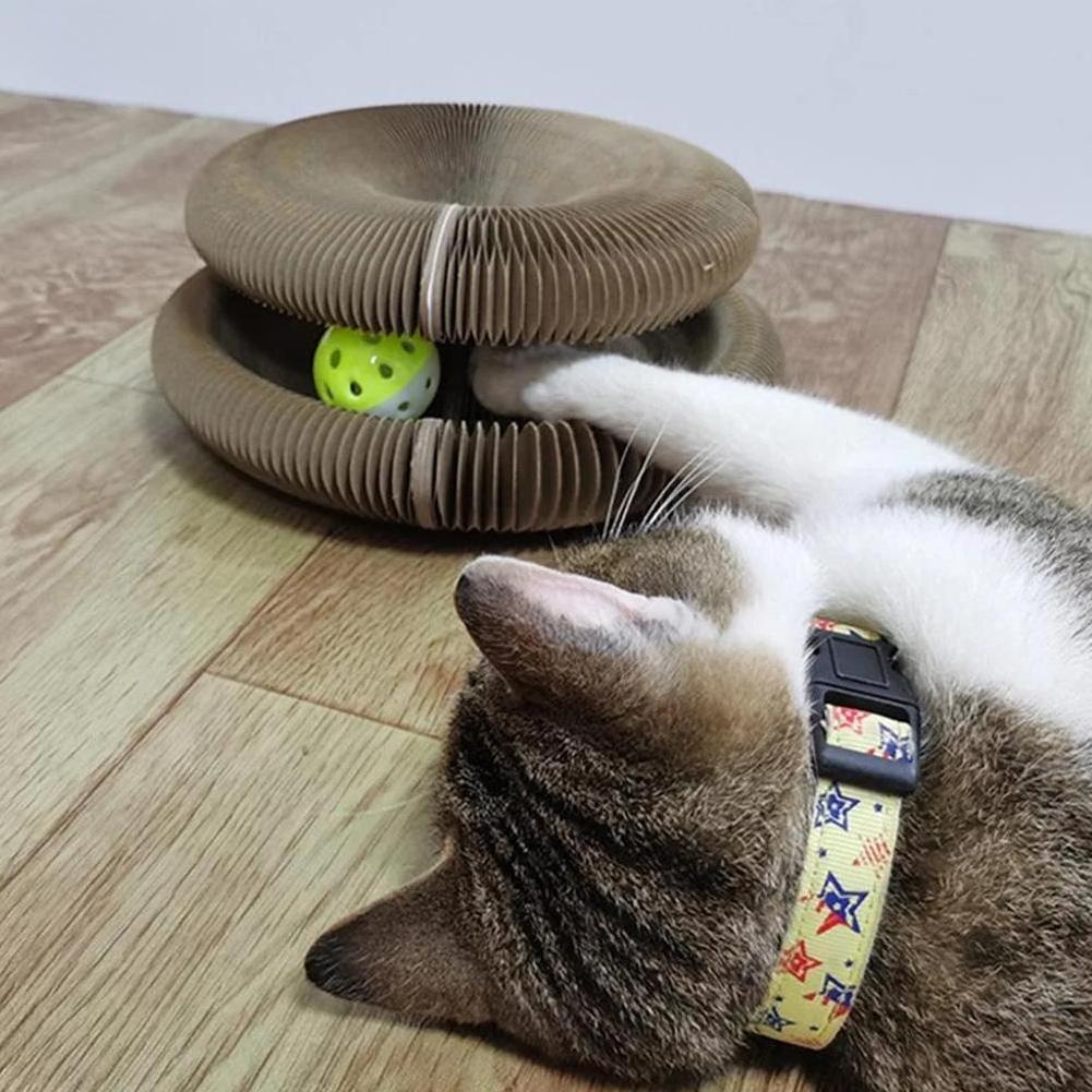 Dropshipping Magic Organ Cat Scratch Board Toy with Bell Cat Grinding Claw Scratching Toy Cat Scratcher