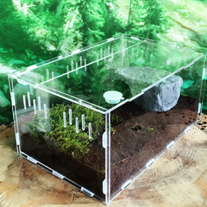 Custom transparent pet display cage reptile cages acrylic hamster cage