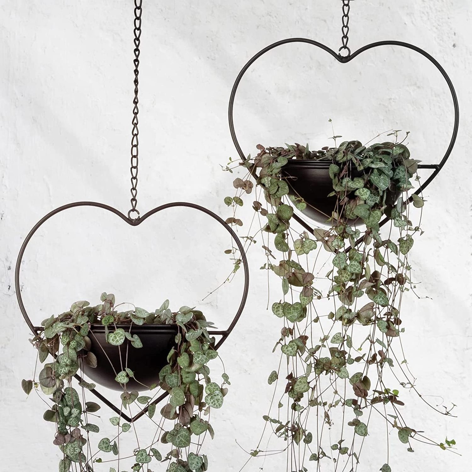 Heart Shaped Boho Hanging Plant Holder with 6inch Detachable pot Black Metal Wall and Ceiling Plant Hanger for Indoor Outdoor