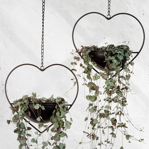 Heart Shaped Boho Hanging Plant Holder with 6inch Detachable pot Black Metal Wall and Ceiling Plant Hanger for Indoor Outdoor