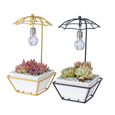 Modern Umbrella Shape Bulb Lamp White Light Succulent Ceramic Pot Gold Metal Flower Planter Pot Flower Pots & Planters