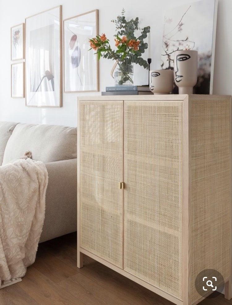 Fashion Design Living Room Bedroom Professional Rattan Rattan Door Storage Wooden Cabinet