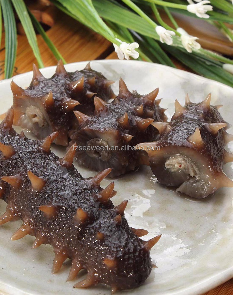 SEA CUCUMBER Wholesale USA sea cucumber the price of dried sea cucumber