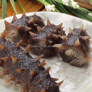 SEA CUCUMBER Wholesale USA sea cucumber the price of dried sea cucumber