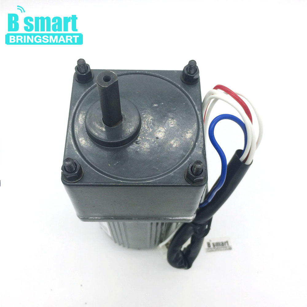 BringSmart 2M06GN-C electric 6w ac motor reversible adjust speed 220V low rpm high torque ac motor with speed controller