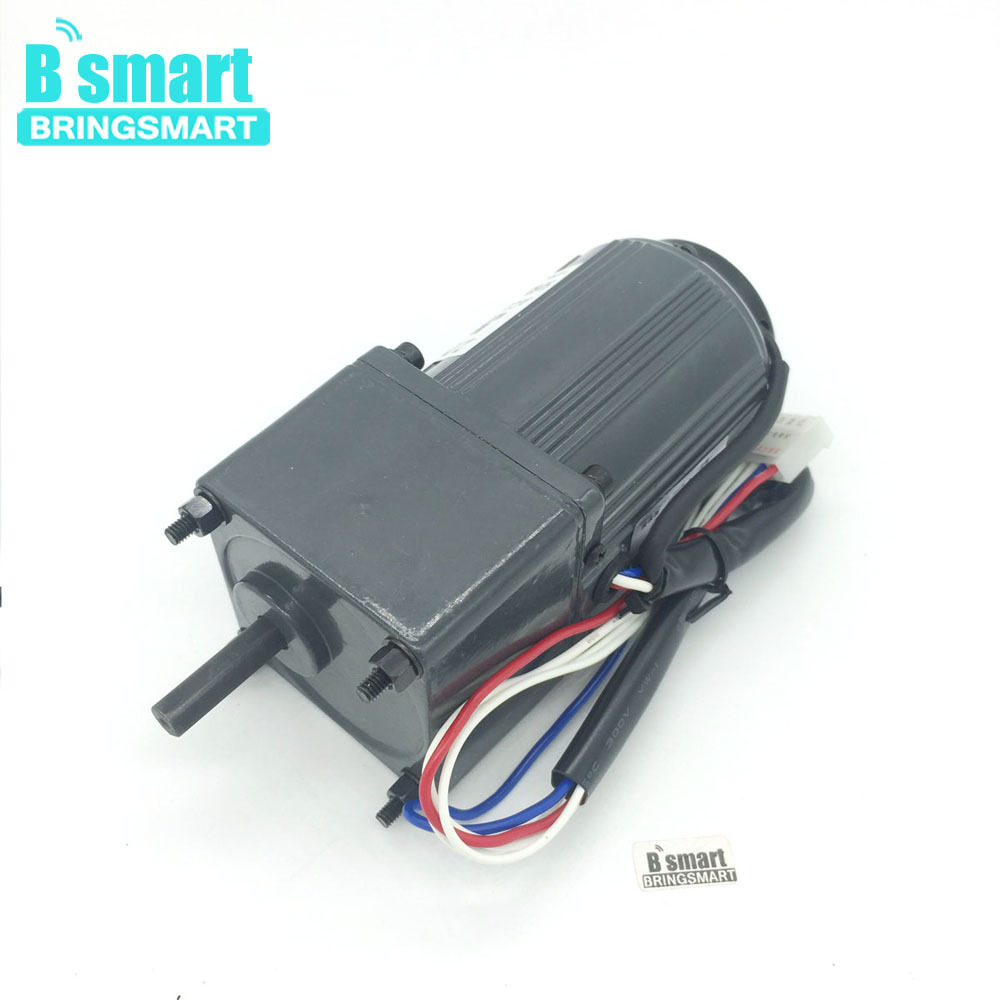 BringSmart 2M06GN-C electric 6w ac motor reversible adjust speed 220V low rpm high torque ac motor with speed controller